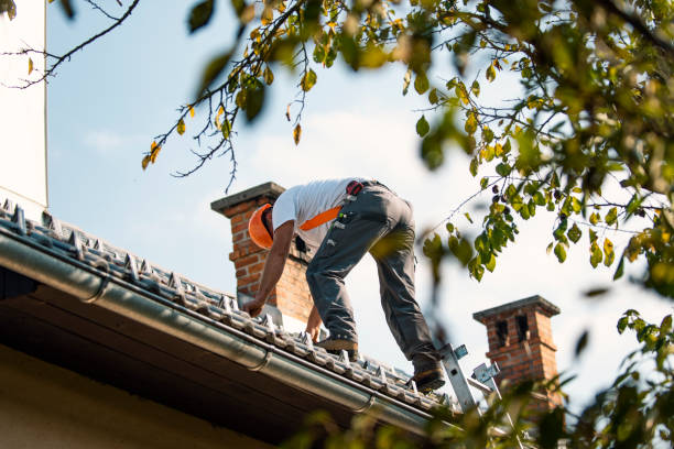 Best Slate Roofing Contractor  in Mount Olive, NC