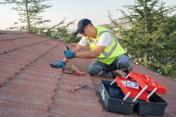 Best Residential Roofing Contractor  in Mount Olive, NC