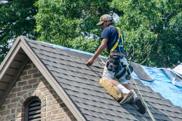 Roof Installation Near Me in Mount Olive, NC
